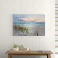 " Beach Driftwood "
