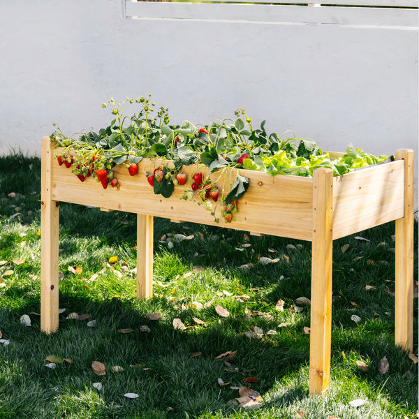 Archbald 49.5" W Solid Cedar Wood Raised Garden Bed with Liner