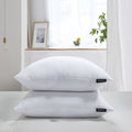 Beautyrest Softy-Around Feather And Down Euro Pillow (Set of 2)