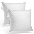 Decorative Down Feathers Fill Square Pillow Insert (Set of 2)