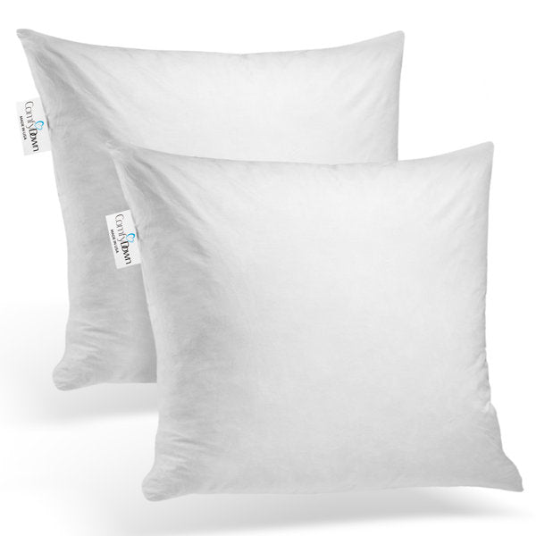 Decorative Down Feathers Fill Square Pillow Insert (Set of 2)