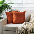 Decorative Throw Cushion Covers (Set of 2)