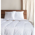Down Alternative Throw Pillow Insert - 2 Pack (Set of 2)