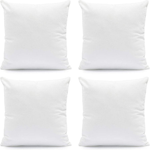 Better Hurry 62 sold in 5 days More Options Hartsburg Throw Pillow Outdoor Pillow Insert (Set of 4)