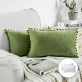 Silky Velvet Series Pom-poms Decorative Throw Pillow (Set of 2)