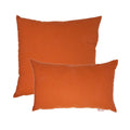 Sunbrella Indoor / Outdoor 2 Piece Pillow Set