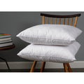 Wayfair Basics® Didomenico Pillow Insert (Set of 2)